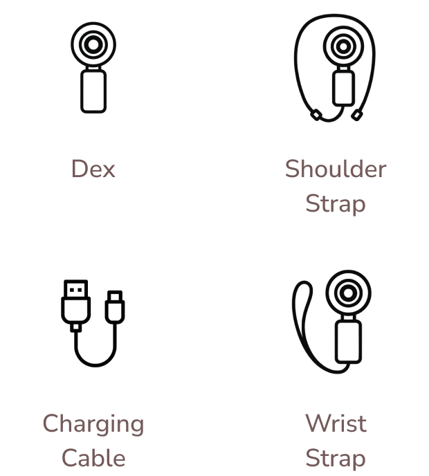Dex, charging cable, wrist strap, shoulder strap