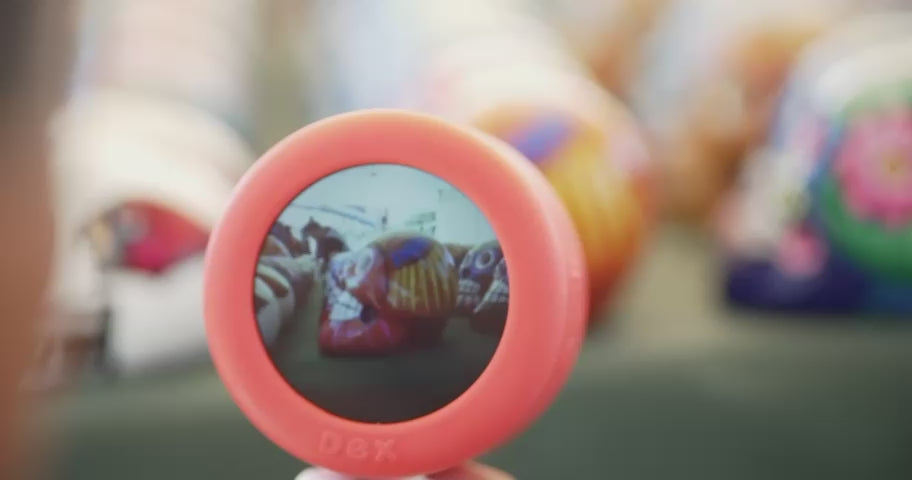 Dex Camera - the Language Learning Camera