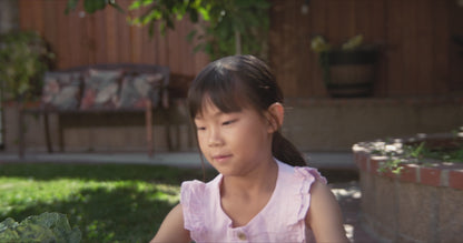 Dex Camera - the Language Learning Camera